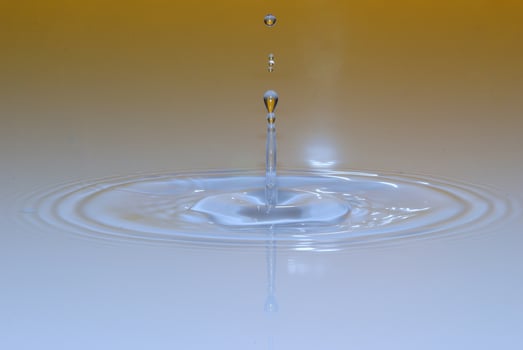 drops gently detail view photo