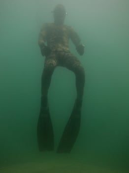 diver with long flowing photo