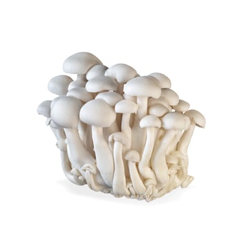 Enoki mushroom isolated on white background. Healthy plant based food diet lifestyle. photo
