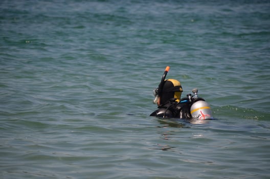 diver in lake while diving photo