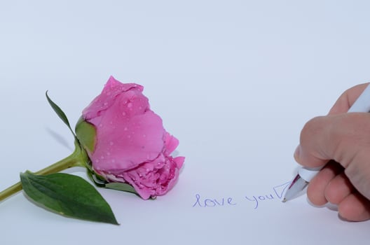 love you schrift mit rose photo
