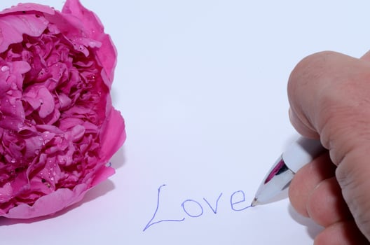 love written with a flower photo