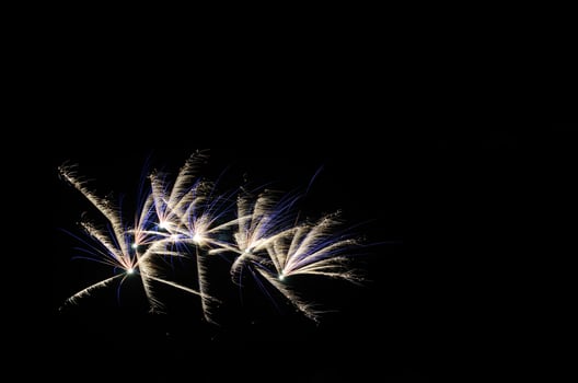 white blue fireworks photo