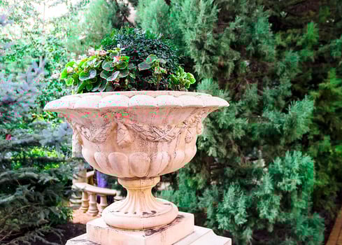 large a pot of flowers in the park photo