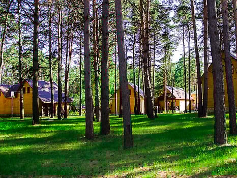 wooden house in the woods the forest photo