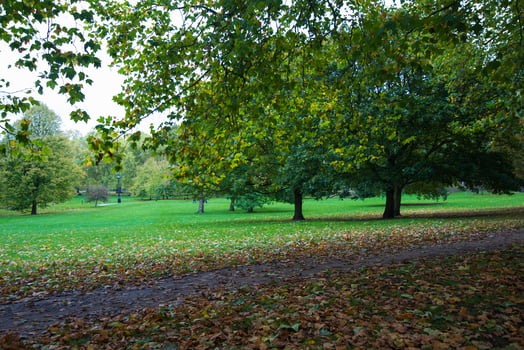 Beautiful park in London during autumn. Falling leaves. photo