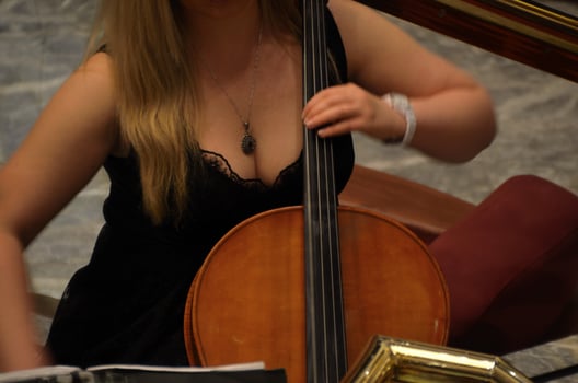 cello player woman detail view photo