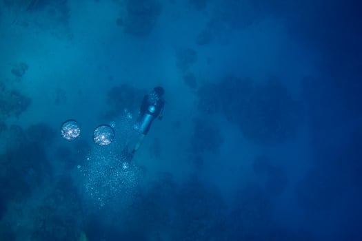 diver in egypt makes bubbles photo