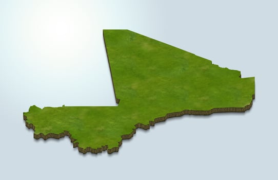 3D map illustration of Mali photo