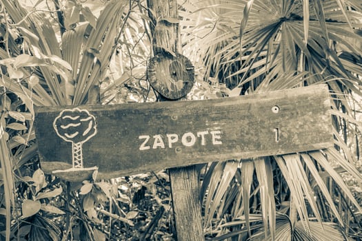 Muyil Quintana Roo Mexico 2022 Sian Kaan National Park information entrance welcome sing board Mexico. photo