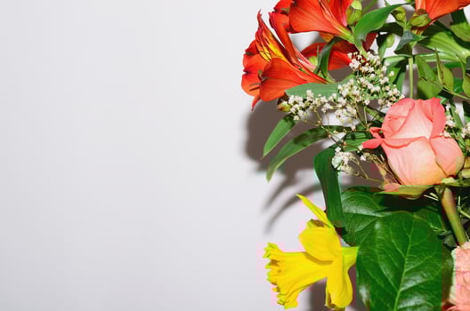 flower for valentines day photo