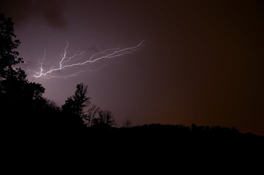 beautiful lightning in the forest photo