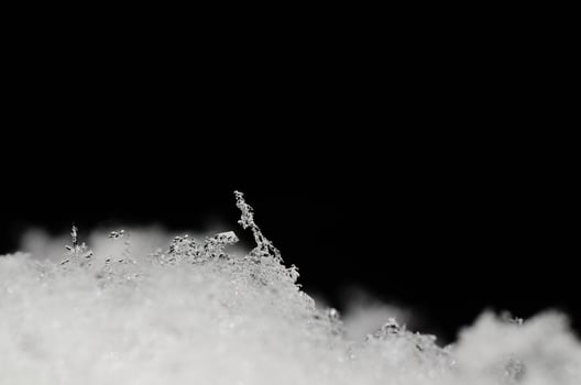 ice crystals in the snow photo
