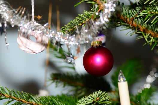 red ball on christmas tree photo