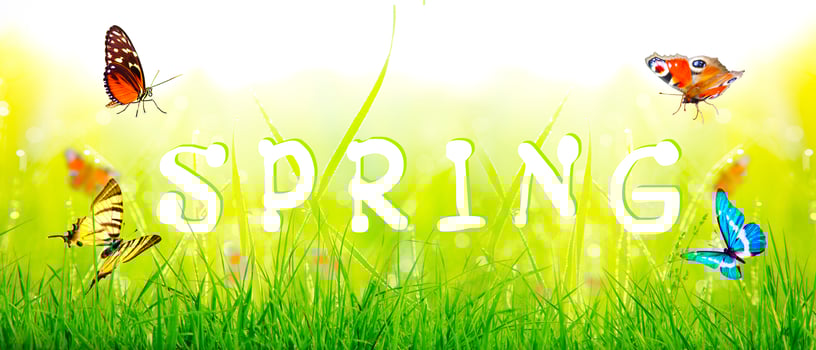 Spring and summer panorama with word spring. photo