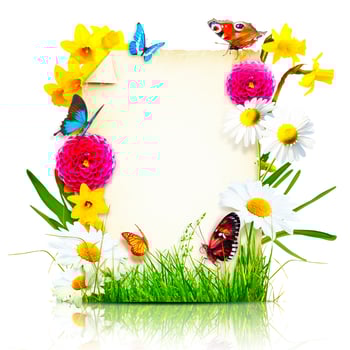 Flowers composition. Photo frame, spring flowers on parchment background.