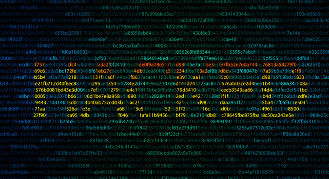 Internet security protection from hacker attacking. Cyber attack and Network Security Concept. photo