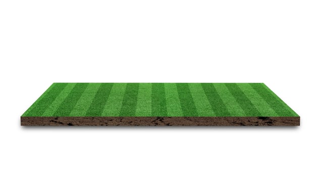 3D Rendering. Stripe grass soccer field, Green lawn football field, isolated on white background. photo