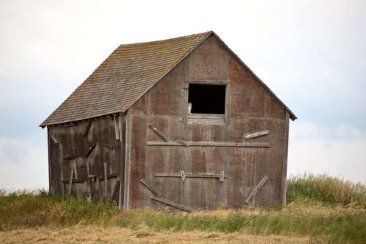 Owl in window of old granary in scenic Saskatchewan photo