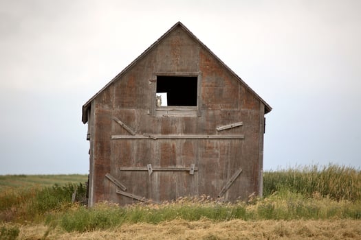 Owl in window of old granary in scenic Saskatchewan photo