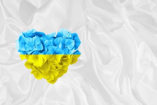 Flower heart yellow and blue Ukrainian flag color with copy space photo