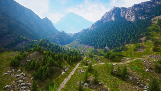 Winding road in the mountains with pine forest photo