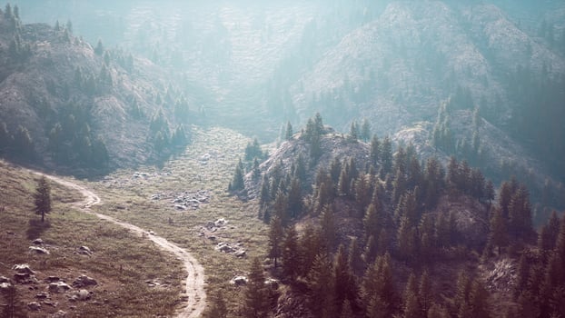 Aerial top view of summer green trees in forest in Swiss Alps photo