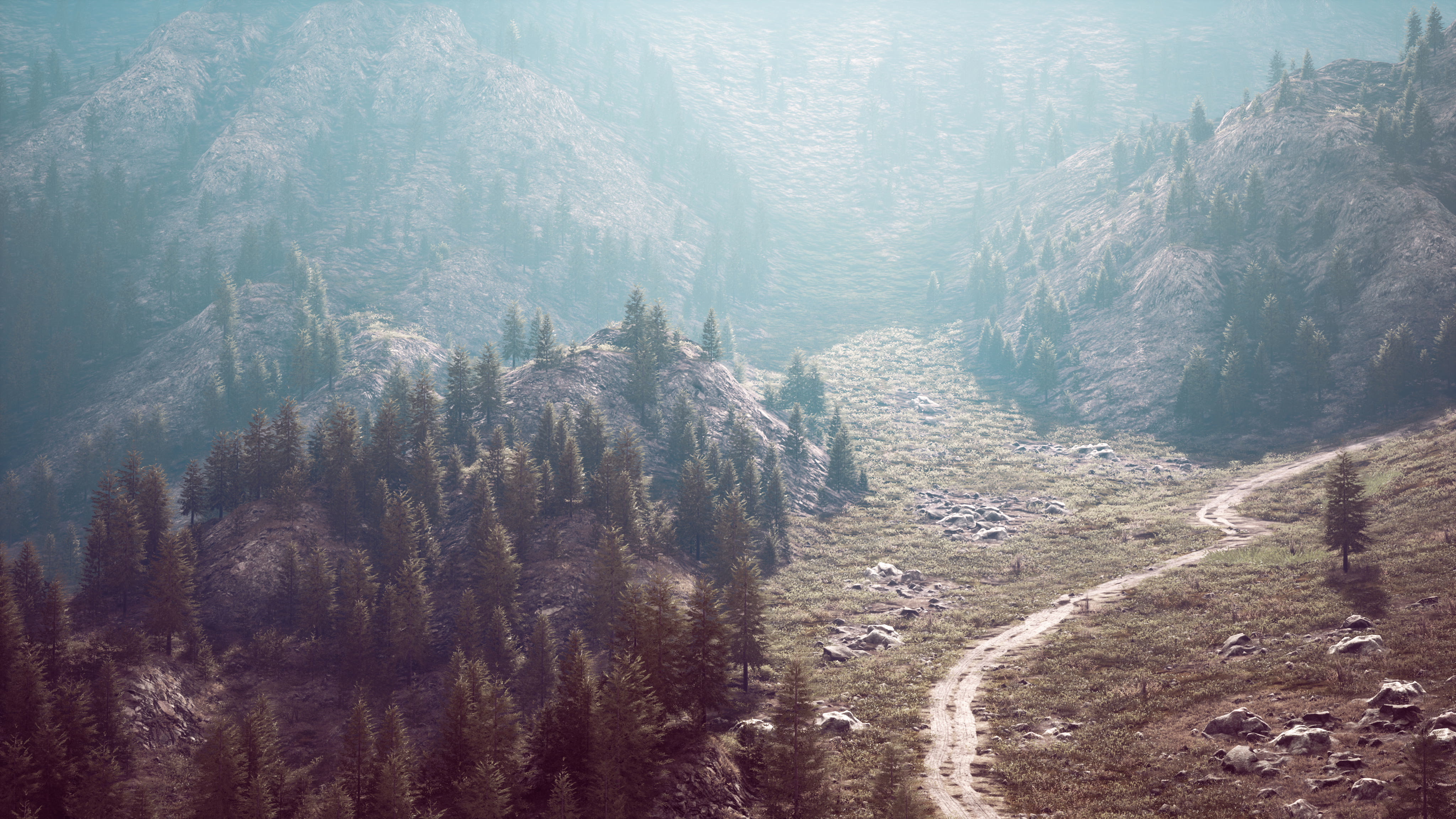 Bird's eye view of road running through beautiful green pine woods photo