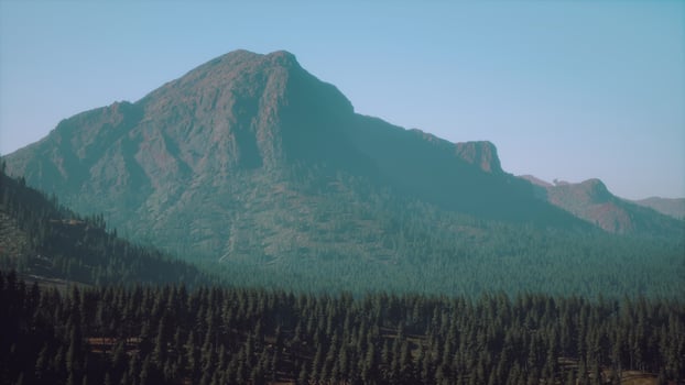 Beautiful sunset view in cedar forest in front of sayan mountain range photo