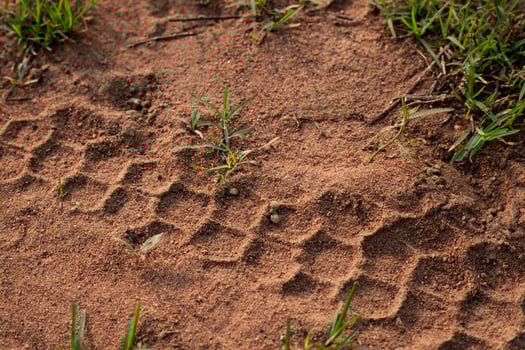 Motorcycle wheel marks on the ground photo