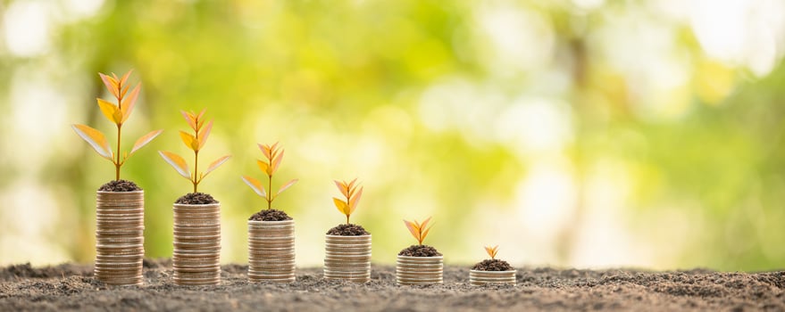 Coin stack with young green sprout on top. Business success, Financial or money growing concept photo