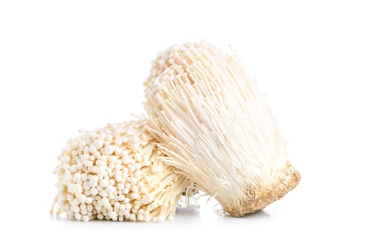 White fresh golden needle mushroom or enoki mushroom isolated on white photo