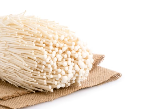 White fresh golden needle mushroom or enoki mushroom isolated on white photo