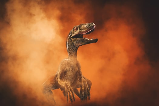 dinosaur , Velociraptor on smoke background photo