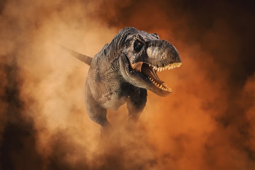 Tyrannosaurus T-rex ,dinosaur on smoke background photo