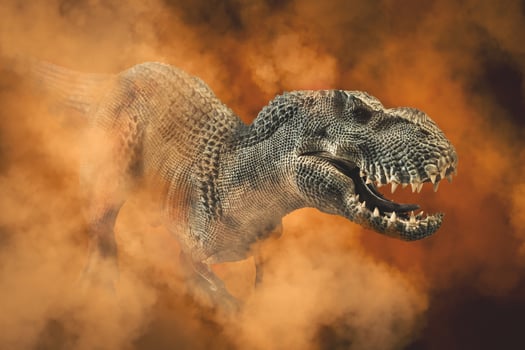 Tyrannosaurus T-rex ,dinosaur on white background photo