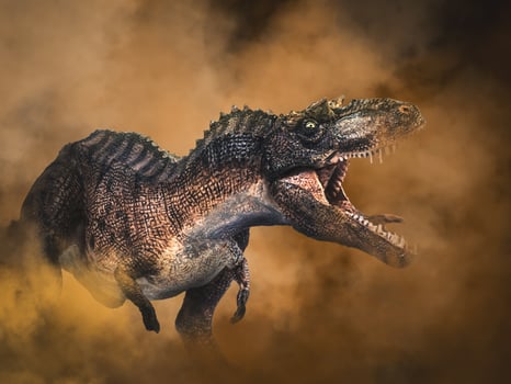 Gorgosaurus Dinosaur on smoke background photo