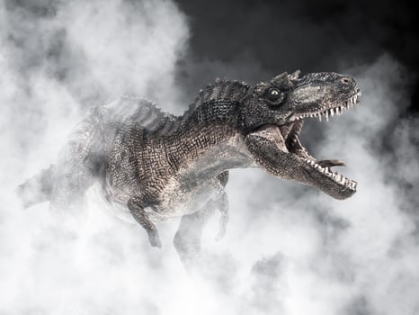 Gorgosaurus Dinosaur on smoke background photo