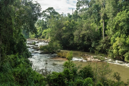 Landscape of streams and forests photo