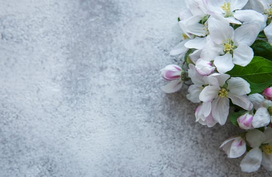 Blossom flowers on gray concrete backdrop. photo