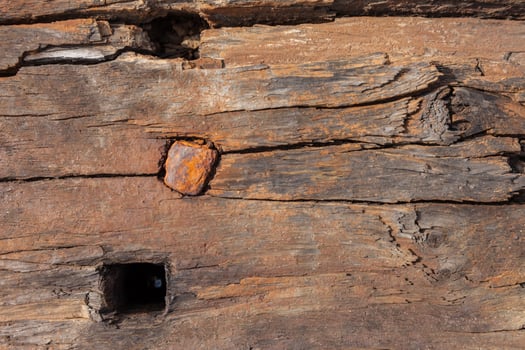 Old wood texture, vintage natural photo