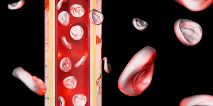 skin layer red blood cells vein vascular surgery 3d illustration photo