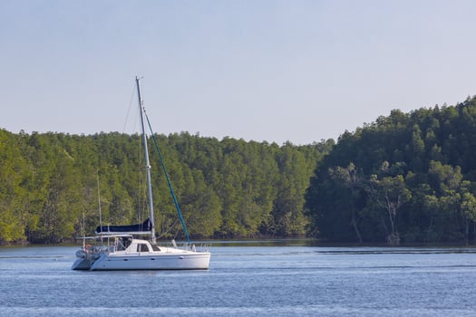 KRABI, THAILAND - JANUARY 23, 2020 - Beautiful natural view of sailboat, mangrove forest in the morning at Krabi River, Krabi, Thailand. photo