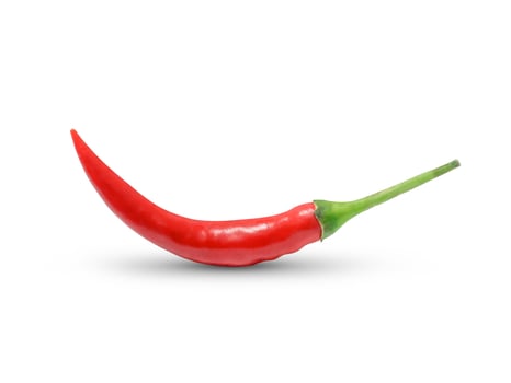 Chilli Photography on white Background photo