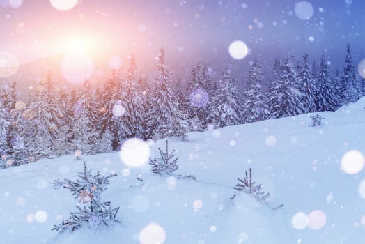Mysterious winter landscape majestic mountains in winter. Magical winter snow covered tree. Photo greeting card. Bokeh light effect, soft filter. Carpathian. Ukraine.