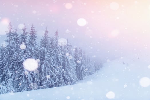 Mysterious winter landscape majestic mountains in winter. Magical winter snow covered tree. Photo greeting card. Bokeh light effect, soft filter. Carpathian. Ukraine.