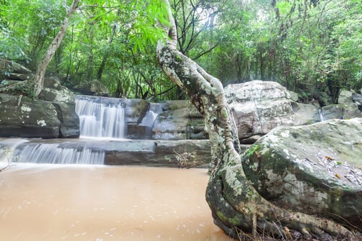 Close up green forest waterfall photo
