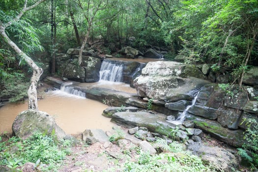 Close up green forest waterfall photo