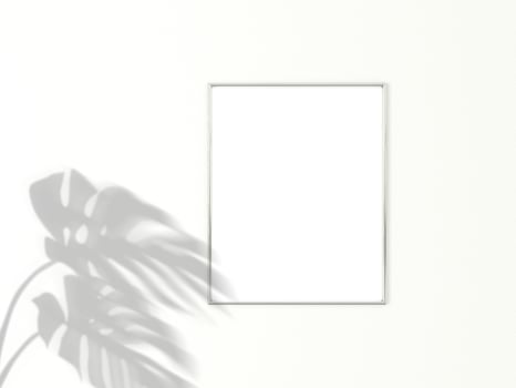 4x5 vertical Chrome frame for photo or picture mockup on white background with shadow of monstera leaves. 3D rendering.
