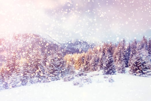 magical winter landscape, background with some soft highlights a photo